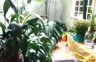 Sobrado à venda, 3 quartos, 2 vagas, nova petrópolis - são bernardo do campo/sp