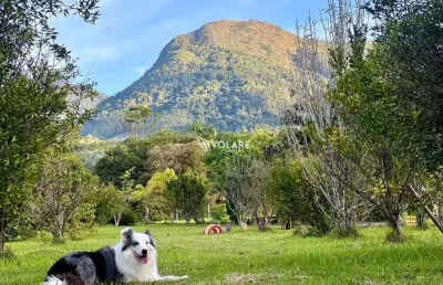 Sítio próximo ao morro da pipa /  a menos de 1h de itapema sc.