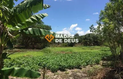 Terreno à venda na manoel antônio, 164, dourado, horizonte por r$ 450.000