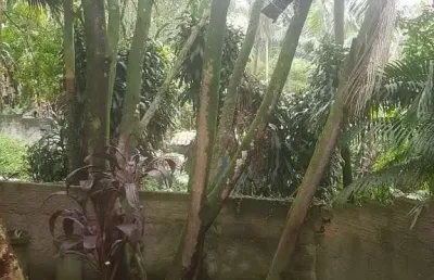 Casa em condomínio fechado com 3 quartos à venda na Rua Richard Mayer, 08, Eldorado, Diadema
