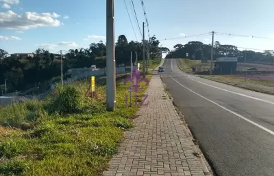Terreno à venda na Rua Coronel Monteiro, João Paulo II, Campina Grande do Sul