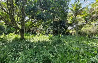 Oportunidade única: terreno plano de 1560 m² na estrada do pontal