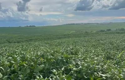 Sítio de 7.72 alqueires - plantio de soja - cana açucar- etc