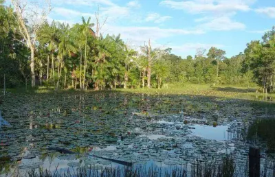 Fazenda à venda, 2190000 m² por r$ 4.000.000,00 - alça viaria - acará/pa