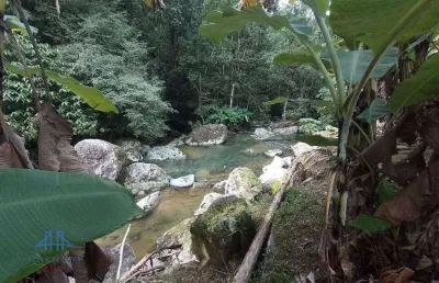 Sítio à venda, 2123 m² por r$ 400.000,00 - centro - antônio carlos/sc