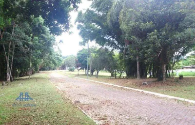 Terreno à venda, 457 m² por r$ 600.000,00 - ratones - florianópolis/sc