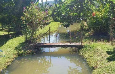 Sítio à venda, 20000 m² por r$ 650.000,00 - área rural de biguaçu - biguaçu/sc
