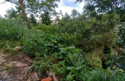 Terreno à venda, 2975 m² por r$ 4.490.000,00 - joão paulo - florianópolis/sc