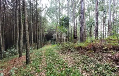 Terreno à venda na estrada municipal, rio abaixo, bocaiúva do sul por r$ 1.300.000