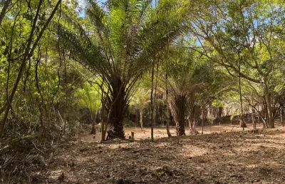 Terreno em condomínio fechado à venda na Rua 15 de Novembro, 599, Condomínio Fazenda Real, Simões Filho