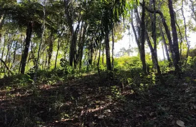 Terreno à venda, 1000 m² por r$ 240 mil  - jardim lago da cantareira /sp - mairiporã