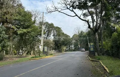 Terreno à venda na rua do louro, 10, ipê amarelo, gramado, 532 m2 por r$ 599.000