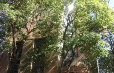 Ponto comercial para alugar na rua júlio de castilhos, 385, centro, novo hamburgo, 993 m2 por r$ 8.000
