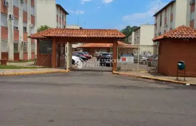 Apartamento com 2 quartos para alugar na rua osvaldo aranha, 4641, são miguel, são leopoldo, 53 m2 por r$ 900
