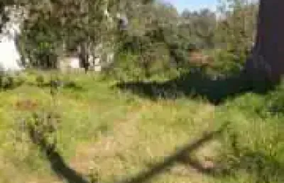 Terreno comercial à venda na rua carlos sphor filho, 1334, moinhos, lajeado, 10150 m2 por r$ 750.000