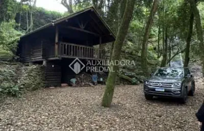 Fazenda à venda na palmas, s/n, 132, linha palmas (distrito), arroio do meio, 8000 m2 por r$ 440.000