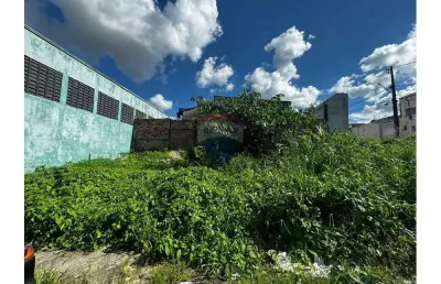Terreno à venda em Novo Aleixo, Manaus 