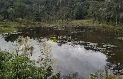 Chácara com 3 dormitórios à venda, 57.429 mil m²  - centro - campo alegre/sc