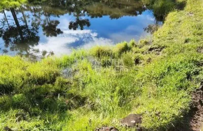 Chácara com 3 dormitórios à venda, 240 m²  - ideal para condomínio de chácaras -  centro - campo al