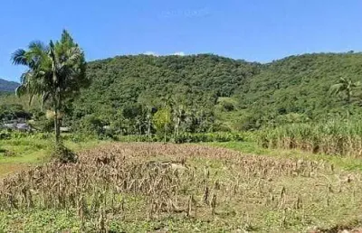 Chácara com 1 dormitório à venda, 30000 m² por r$ 650.000,00 - itoupava açu - schroeder/sc