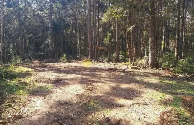Chácara à venda, 187082 m² -  avenquinha - zona rural - campo alegre/sc