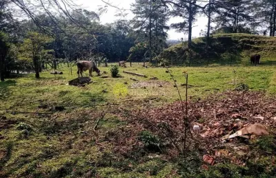 Chácara com 3 dormitórios à venda, 37266 m² - vila nova - joinville/sc