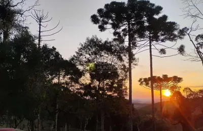 Chácara com 2 dormitórios à venda, 24200 m² por r$ 575.000,00 - zona rural - campo alegre/sc