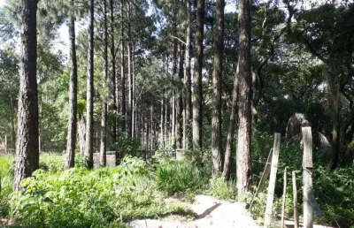 Sítio à venda, 94321 m² por r$ 410.000,00 - olho d'água - mairiporã/sp