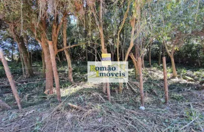Terreno à venda, 2589 m² por r$ 170.000,00 - cacéia - mairiporã/sp
