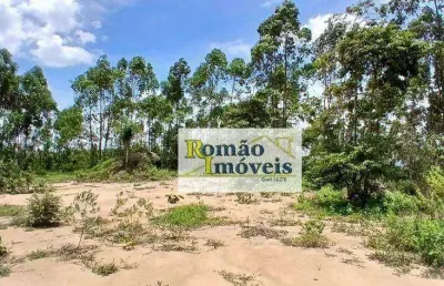 Área plana à venda, 30000 m² por r$ 490.000 - bucólica - mairiporã/sp