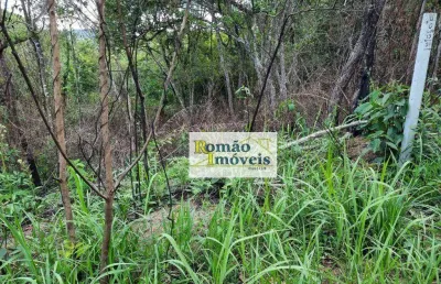 Terreno à venda, 1240 m² por r$ 135.000 - paineiras de mairiporã - mairiporã/sp