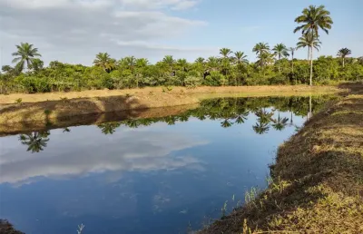 Fazenda com 1 sala à venda na Rua Tamarineiro, Zona Rural, Valença