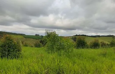 Terreno à venda, 20393 m² por r$ 390.000,00 - pitangal - jarinu/sp