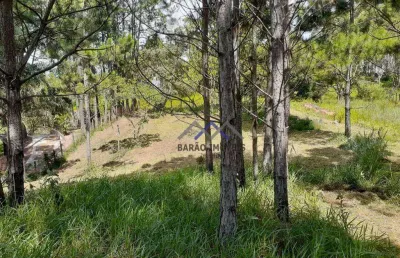 Terreno à venda, 3200 m² por r$ 660.000,00 - parque espelho  d água - jundiaí/sp