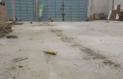 Galpão para alugar, 400 m² por r$ 10.200,00/mês - jardim adriana - guarulhos/sp
