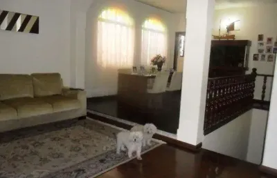 Casa em condomínio fechado com 3 quartos à venda na santa amélia, belo horizonte , 233 m2 por r$ 1.000.000