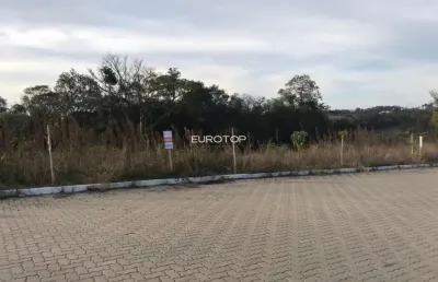 Terreno à venda na Rua José de Carli, 80 ou 81, Tuiuty (Distrito), Bento Gonçalves
