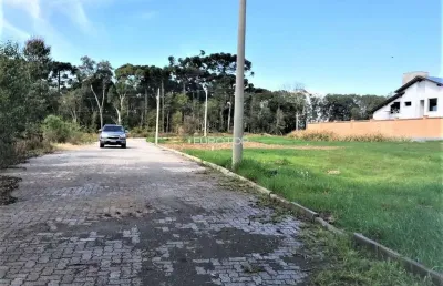 Terreno à venda na Rua Bruno Bottega, 10, Santo Antão, Bento Gonçalves