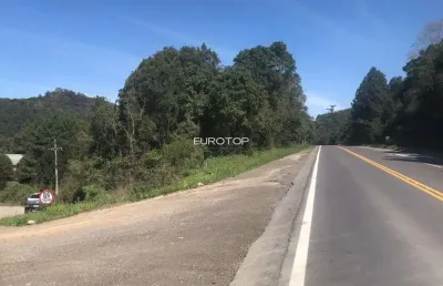 Terreno à venda na Rs 453, Tamandaré, Garibaldi