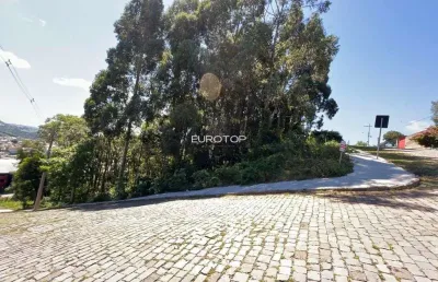 Terreno à venda na Rua Alfredo Francisco Giacomello, Santo Antão, Bento Gonçalves