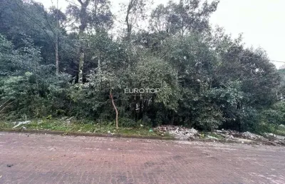 Terreno à venda na Rua Alcides Pozza, 30, Borgo, Bento Gonçalves