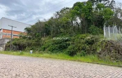 Terreno à venda na Rua Angelina Barberina Tomasi Fracalossi, 41 e 42, São Valentin, Bento Gonçalves
