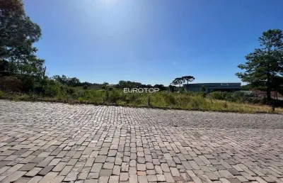 Terreno à venda na Rua Domingos De Marchi, Garibaldina, Garibaldi
