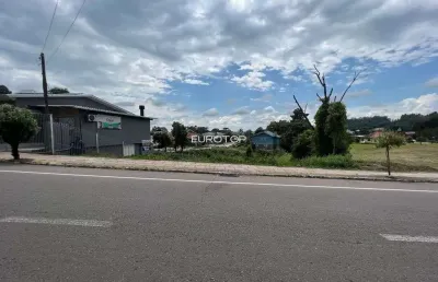 Terreno à venda na Avenida Nelson Carraro, lote 01, Santo Antão, Bento Gonçalves