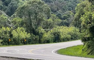 Terreno à venda na Rodovia BR-470, 3, São Vendelino, Bento Gonçalves