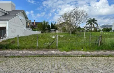 Terreno à venda na Rua Vereador Lucindo João Andreola, 702, Santo Antão, Bento Gonçalves