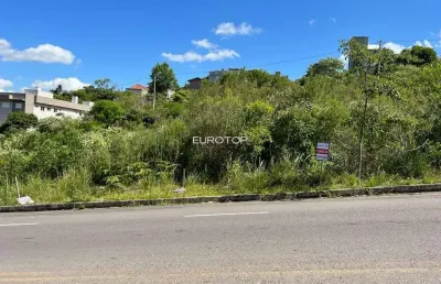 Lindo terreno com excelente topografia e localização!
