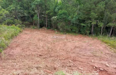 Terreno à venda na Rua Benigno Orlando Panno, Universitário, Bento Gonçalves