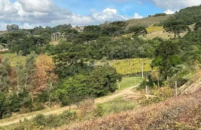 Excelente área de terras com denominação de origem!