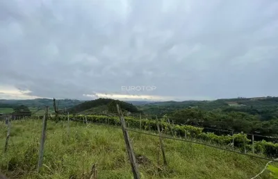 Chácara / sítio à venda na Interior, 0506, São Pedro, Bento Gonçalves